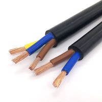 5 Meters RVV Copper Wire Sheath Line 2 3 core 1 / 1.5 / 2.5 / 4 / 6mm Cable Outdoor Flexible Wire