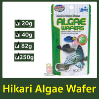 Hikari Algae Wafer อาหารปลา สำหรับปลากินพืช กินตะไคร่น้ำ ปลาแพะ ปลาหมู ชนิดแผ่นจมน้ำ