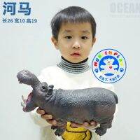 Munich Play - โมเดลสัตว์ Hippopotamus ฮิปโป ขนาด 26.00 CM แบบนิ่ม (จากหาดใหญ่)