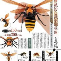 Bandai Animal Figures Insect Wasp Apis Mellifera Ssp Vespa Bee Gashapon Capsule Toy PVC Model Toy Ornaments Gifts For Children