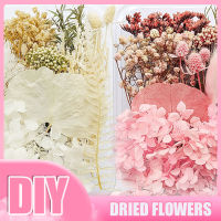 DIY Natural Dried Flower For Making Mobile Phone Case Candle Handmade Crafts Epoxy Resin Pendant Necklace Jewelry Craft New