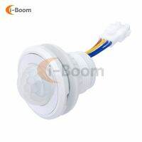 Motion Sensor Switch 220v