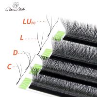 GLAMLASH W Shape Bloom 3D Premade Volume Fans Eyelash Extensions C/D/L/LU/M Natural Soft Light Individual YY Lashes Full Dense