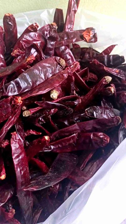 1kg Cabe Merah Besar Kering Cabe India Tanpa Tangkai Lazada Indonesia