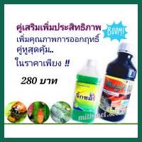 ฟีโนบูคาร์บ 50% EC  1 ลิตร+ สารจับใบ 1 ลิตร ชุดคู่สุดคุ้ม กำจัดเพลี้ย น๊อคเพลี้ย ยาฆ่าเพลี้ย กำจัด เพลี้ยกระโดด เพลี้ยอ่อน เพลี้ยไฟ บั่ว