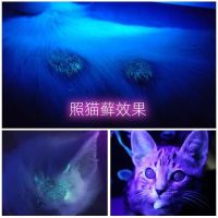 Original specialty Fluorescent agent detection lamp pen 365 purple light lamp banknote inspection jade identification flashlight Wood aflatoxin cat moss lamp