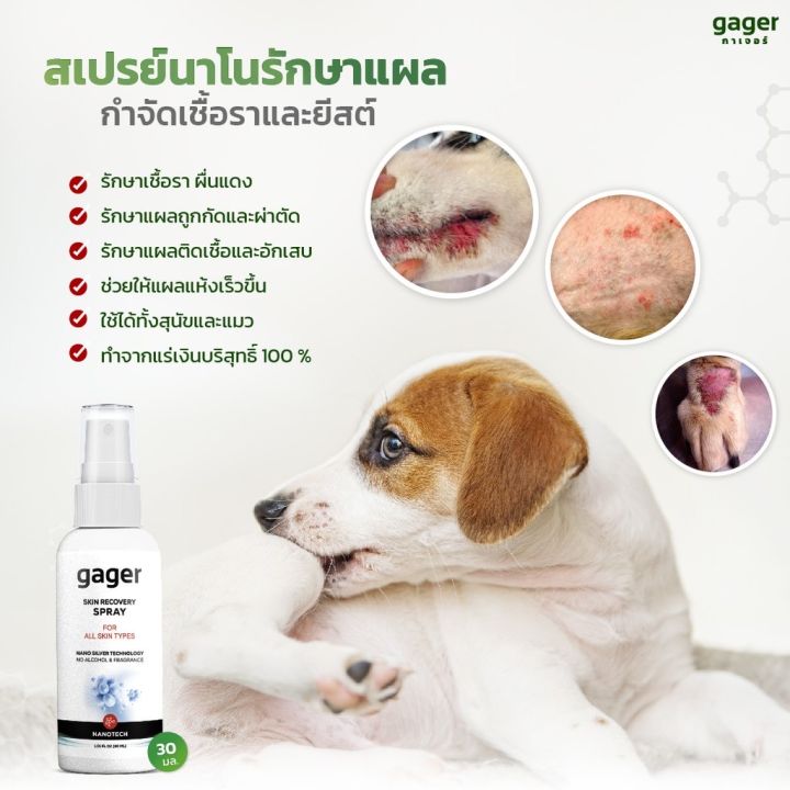 nano-silver-spray-สเปรย์นาโนรักษาเชื้อรา-แผลติดเชื้อ-แผลจากการผ่าตัด-และอักเสบ-รักษาโรคผิวหนัง-สำหรับสุนัข-แมว