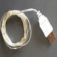 ruyifang 2M 20Led 3M 30Led USB ดำเนินการ MINI LED copper Wire String Fairy Lights LED