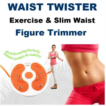 Twister exercise 2025 machine buy online