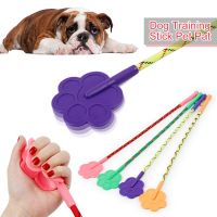 Dog Training Stick Pet Pat Toys Anti Barking Stop Bark Deterrents Training Device Trainer Small Dogs Whip Pets Accessories