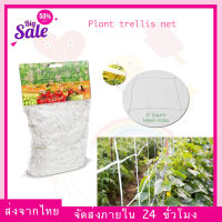 (ส่งจากไทย) Plant trellis net เน็ตขึงต้นไม้ Trellis Netting 150x450cm / 150x900cm [SCROG Net] Plant Climbing Net Nylon Trellis Support Net Garden Net for Climbing Plants Plant Garden Fence Mesh Anti-Bird Net (1.5m x 4.5m / 1.5m x 9m)