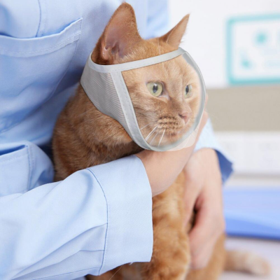 Muzzle Anti-Bite ปรับ Breathable Anti-Scratch สัตว์เลี้ยงขนาดเล็กโปร่งใส Grooming Muzzle Cat Supplies