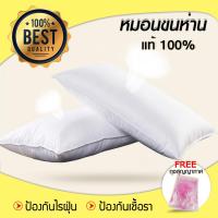 หมอนขนห่านแท้ หมอนสุขภาพ Goose Feather and Goose Down pillow??