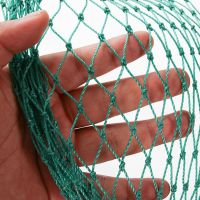 【CW】 10/20M Anti Protection Net Mesh Garden Netting and Fruit Trees from Birds Poultry