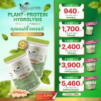 โปรตีนพืช (ถั่วลันเตาสีทอง) VEGAMAE Plant Protein Hydrolyzed (WPH) ผลิตจากถั่วลันเตาสีทอง (ขนาด 1กป/500กรัม) แถมฟรีจีเวย์ 30 กรัม