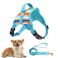 2022 Dog Reflective Chest Strap Pet Saddle Strap Leash Fashion Breathable Medium Large Dog Training Supplies Arnes Perro