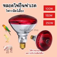 ส่งด่วนจากไทย‼️หลอดไฟกกหมูอินฟาเรด ไฟกกสัตว์ แบบหนาพิเศษ  100วัตต์ 150วัตต์ 250วัตต์