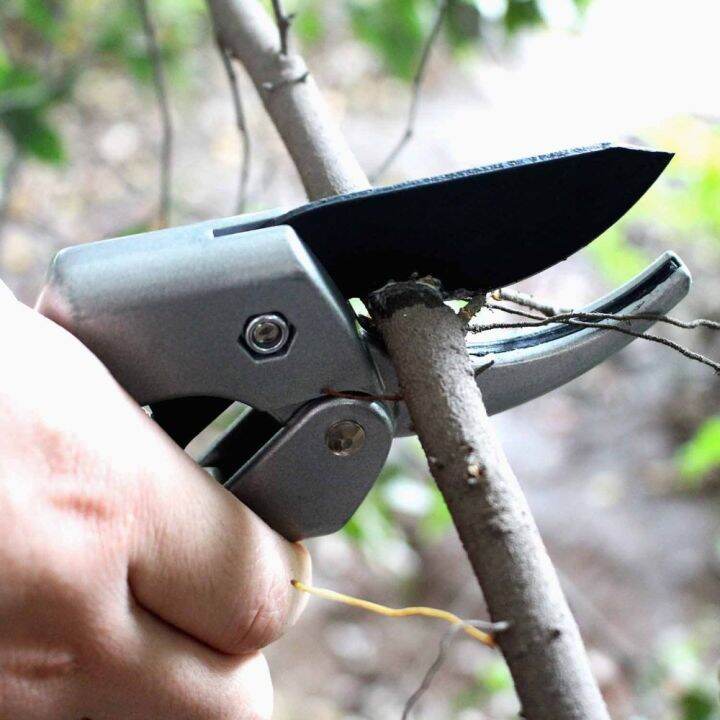 8inch-power-drive-ratchet-anvil-pruning-shears-garden-tools-ratcheting-hand-secateurs-tree-pruners-razor-sharp-garden-scissors