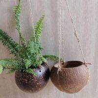 [Like Activities] Creative CoconutHanging BasketPot แขวนผนัง SucculentHanging อ่างล้างหน้างานแต่งงานแจกันตกแต่งระเบียง