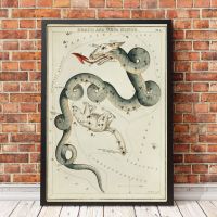 Astronomical Chart The Draco And The Ursa Minor Vintage Map Poster Canvas Art Prints Home Decoration Wall Painting ( No Frame )