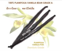 PLANIFOLIA VANILLA BEAN GRADE A / VANILLA POD 1 POD ฝักวานิลลา พลานิโฟเลีย 1 ฝัก วานิลลา Premium A