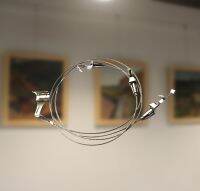 4Pcs Exhibition Art Hanging System  Gallery Large Paint/Picture/Photo Display Kit Steel Wire Cable Ceiling Hook,Hanger 3 Hooks