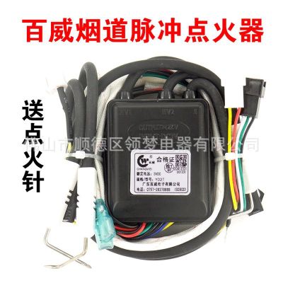 Budweiser Changwei General Gas Water Heater Pulse Igniter Flue Type 3V Pulse Igniter Accessories