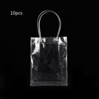 10 Pcs PVC Waterproof Swimming Bag See Through Clear Plastic Bag Wash Sports Travel Storage Security Check Clear Handbag Tote