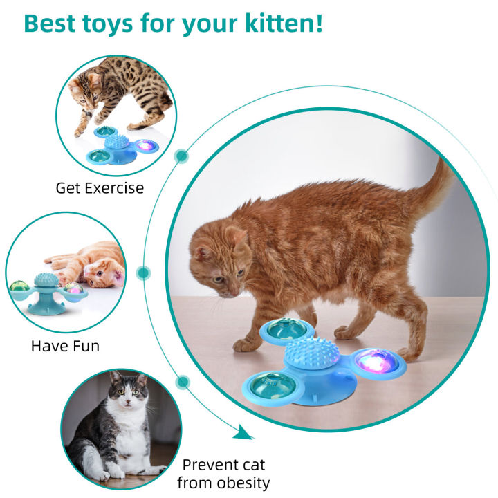 ของเล่นน้องแมว-สนุกไปกับแมวของคุณด้วยจานหมุน-led-ที่เป็นของเล่นสุดโปรด