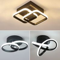 【CW】 Aisle Ceiling Lights Corridor Lamp 36W 32W 20W Indoor Lamps Room Balcony Lighting