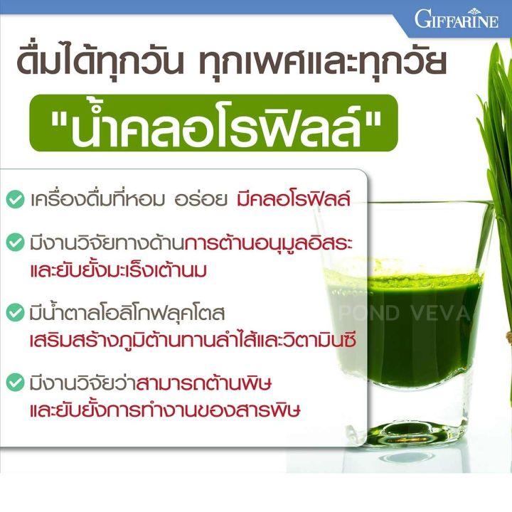 คลอโรฟิลล์-chlorophyll-plus-giffaine-ดื่มง่าย-ดูแลลำไส้-พร้อมส่ง