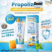 Propoliz Dente Natural Toothpaste 100กรัม ยาสีฟันโพรโพลิซ หินปูน เหงือกอักเสบ ปกป้อง 24 ชม.