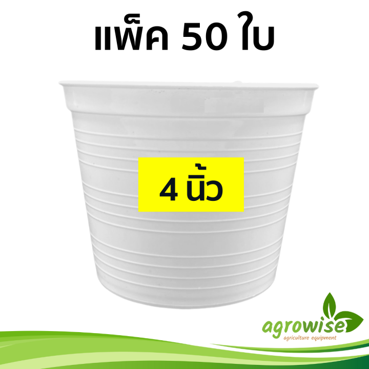 กระทางต้นไม้-กระถางต้นไม้สวยๆ-กระถางพลาสติก-กระบองเพชร-สีขาว-50-ชิ้น-กระถางขาว-4-นิ้ว