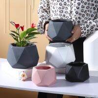 Nordic Ins Ceramic Pots Multi meat Green Luo Hydroponic Bonsai European Creative Small Flower Pot Ceramic Wholesale