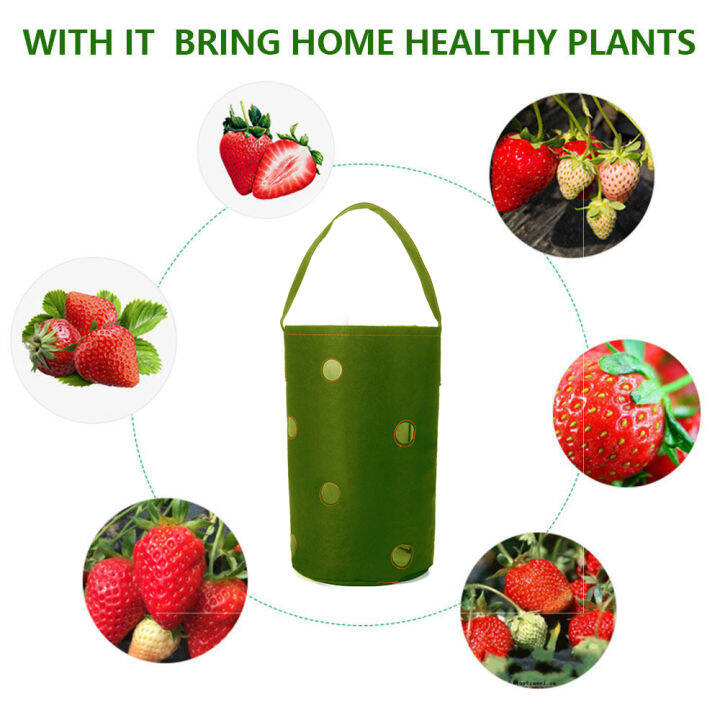 hanging-strawberry-planting-bag-non-woven-felt-strawberry-bare-root-plant-planting-container-horticultural-plant-bag