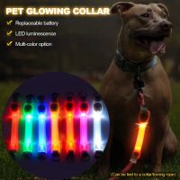 Dog Anti Lost Glowing Collar Outdoor Night Safety Waterproof Warning LED Flashing Light Necklace Strip for Pet Leash Harness Leashes