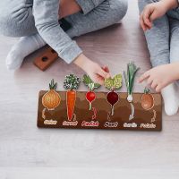 ป่าร้อน LIN431 - ☸✈ Vegetable Kids for Children Cognitive Matching Board Game Toddler