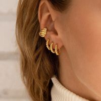 Hoop Earring for Women Plated Copper Ring Luxury Decoration Accessories Earrings Medium Braided Jewelry New Twist Ear Buckl