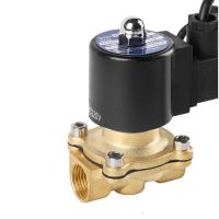 1/2" Waterproof Brass Solenoid Valve Normally Closed Fountain Solenoid Valves For Underwater220V 110V 24V 12V 24v Valves