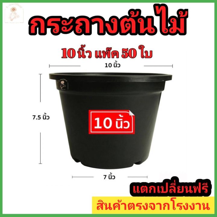 กระถางต้นไม้พลาสติก-10-นิ้ว-สีดำ-สีขาว-กระถางต้นไม้-กระถางกระบองเพชร-กระถางปลูกต้นไม้