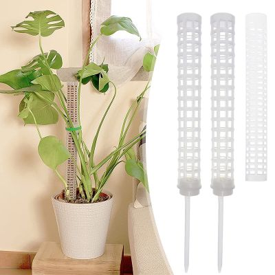 ☄❅❁ Plants Climbing Moss Pole Plant Support Trellis for Indoor Potted Vine Creepers Vertical Growth Frame Gardening Accessories