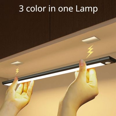 【DT】hot！ Sensor Night USB Rechargeable Lamp Cabinet Wardrobe Under Backlight led