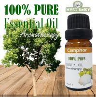 [10 mL.] 100% Pure Essential Oil น้ำมันหอมระเหยการบูร (Camphor) บริสุทธิ์ 100% ไม่ผสม (ไม่ใช่น้ำหอมหรือกลิ่นสังเคราะห์)