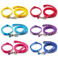 Fashion Dog Harness with Lead Leash Puppy Cat Adjustable Colors Choose Chain Collars Interactive Toy Pet Supplies Accessories Leashes