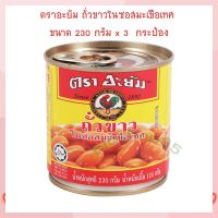 ตราอะยัม ถั่วขาวในซอสมะเขือเทศ ขนาด 230 กรัม x 3  กระป๋อง Fermented Vegetables  Canned Beans  ถั่วกระป๋อง ผักดอง ผักกระป๋อง อาหารสำเร็จรูป อาหารพร้อมทาน อาหารกระป๋อง