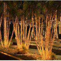 Twinkle Star ไฟ LED String 30M 300Leds ไฟตกแต่งห้อง Tree Garland Decor ไฟงานแต่งงาน Party Holiday Decor Lighting