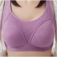 lette Super Soft Baby Cotton s Big Size 36-44 B C Cup Wireless No Iron Push Up No Wire