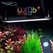 Đèn bể cá cảnh bể thủy sinh Chihiros WRGB2 30