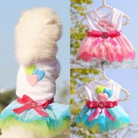 2023 Dog Clothes for Small Dogs Dress Sweety Princess Dress That All Seasons Puppy Lace Princess Apparel Chihuahua Dog Dresses