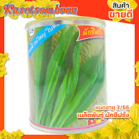 เมล็ดผักชีฝรั่ง เมล็ดพันธุ์ 20 ก. ตราต้นไผ่